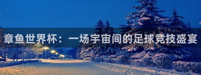 章鱼世界杯：一场宇宙间的足球竞技盛宴