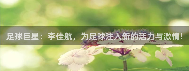 足球巨星：李佳航，为足球注入新的活力与激情!
