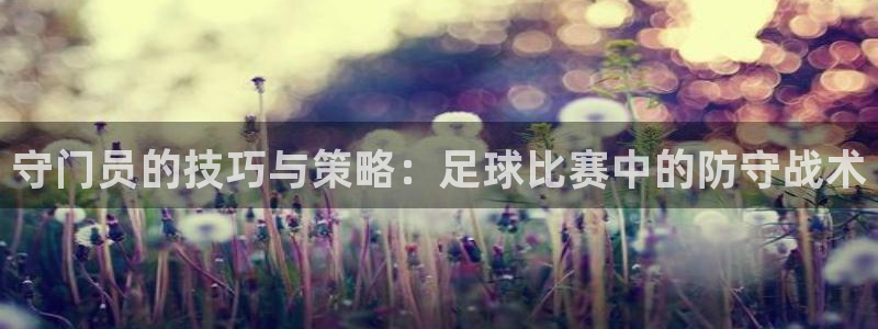  守门员的技巧与策略：足球比赛中的防守战术