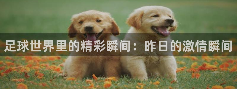 足球世界里的精彩瞬间：昨日的激情瞬间