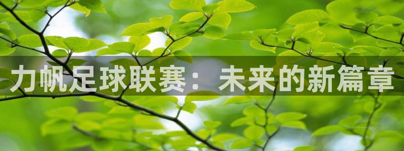 力帆足球联赛：未来的新篇章