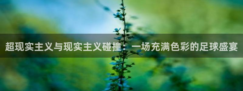 超现实主义与现实主义碰撞：一场充满色彩的足球盛宴