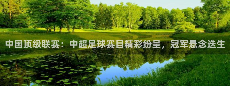 中国顶级联赛：中超足球赛目精彩纷呈，冠军悬念迭生