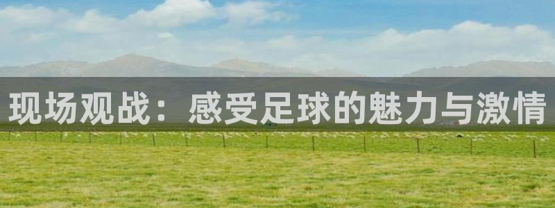 现场观战：感受足球的魅力与激情