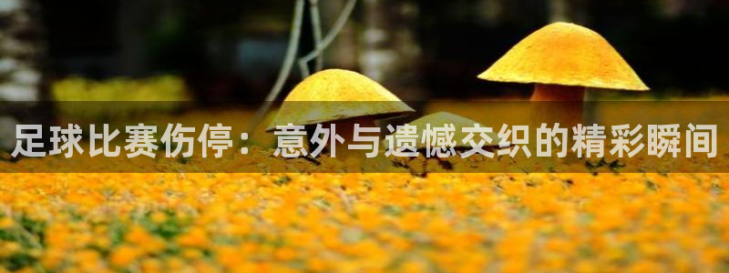 足球比赛伤停：意外与遗憾交织的精彩瞬间