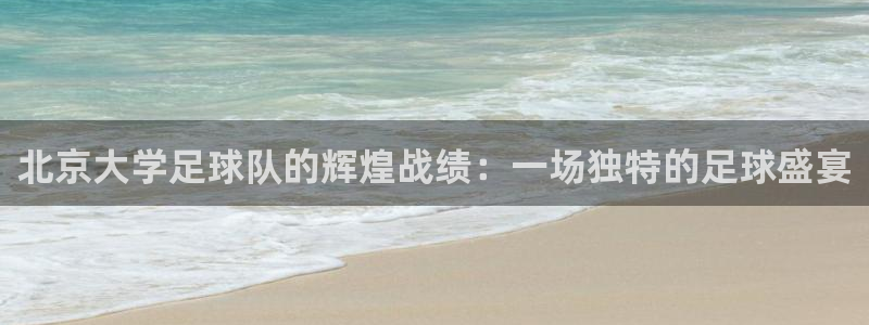 北京大学足球队的辉煌战绩：一场独特的足球盛宴