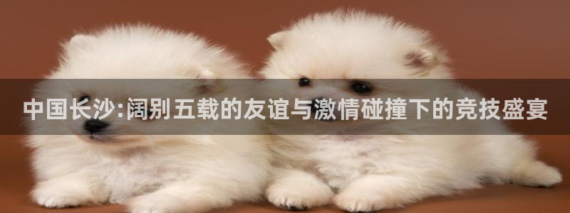 中国长沙:阔别五载的友谊与激情碰撞下的竞技盛宴