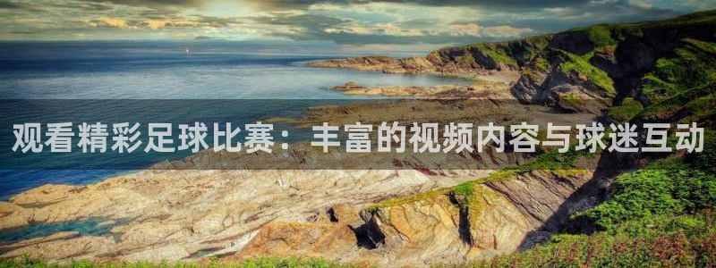  观看精彩足球比赛：丰富的视频内容与球迷互动