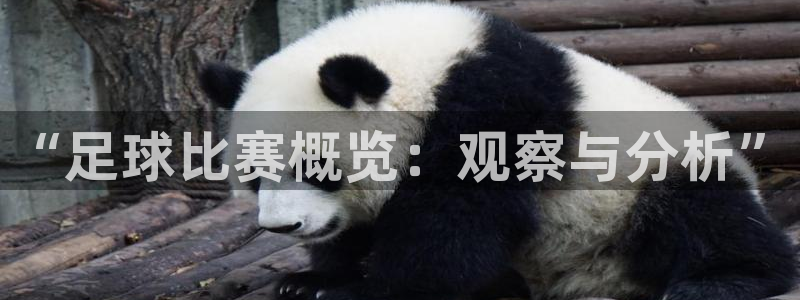 “足球比赛概览：观察与分析”