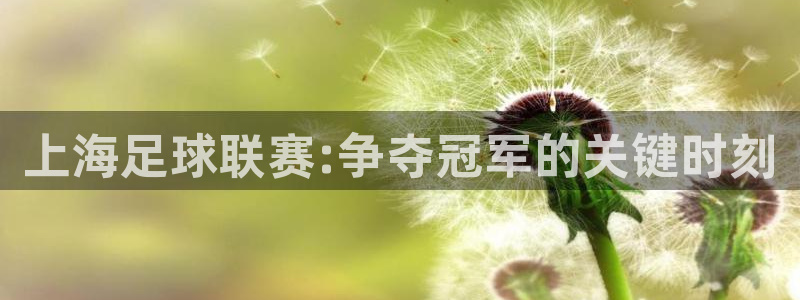 上海足球联赛:争夺冠军的关键时刻