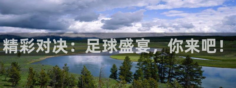  精彩对决：足球盛宴，你来吧！