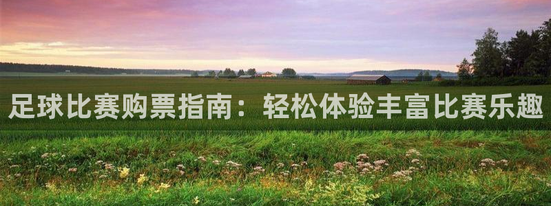 足球比赛购票指南：轻松体验丰富比赛乐趣