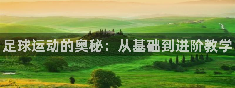 足球运动的奥秘：从基础到进阶教学