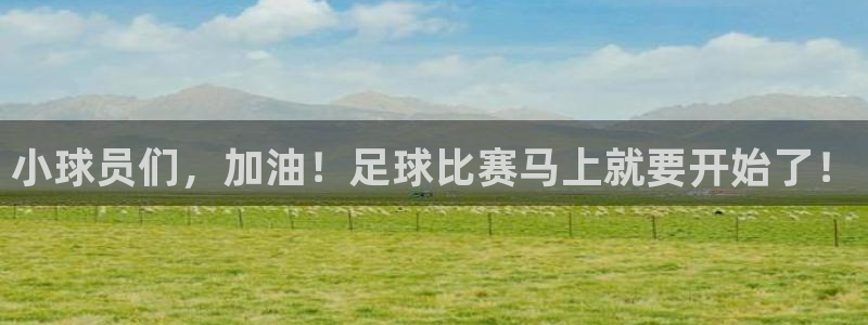 小球员们，加油！足球比赛马上就要开始了！