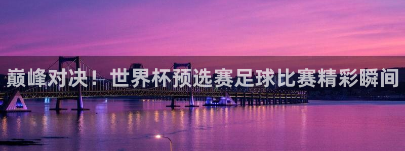  巅峰对决！世界杯预选赛足球比赛精彩瞬间