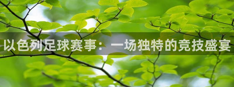 以色列足球赛事：一场独特的竞技盛宴