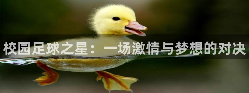 校园足球之星：一场激情与梦想的对决