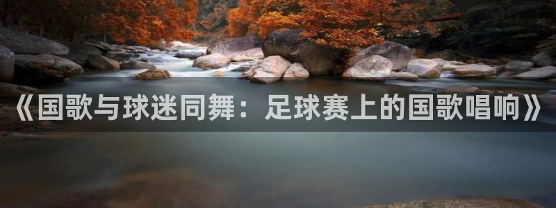 《国歌与球迷同舞：足球赛上的国歌唱响
