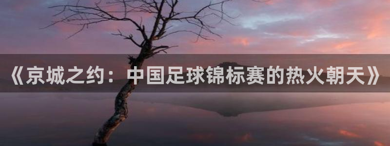 《京城之约：中国足球锦标赛的热火朝天