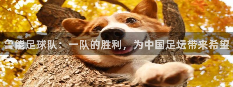 鲁能足球队：一队的胜利，为中国足坛带