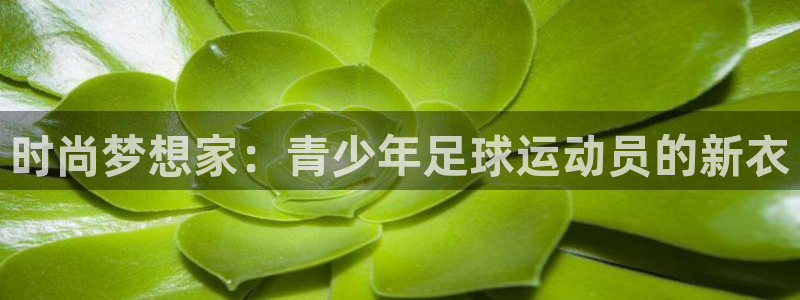 时尚梦想家：青少年足球运动员的新衣
