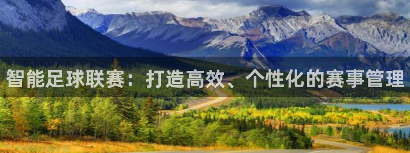 智能足球联赛：打造高效、个性化的赛事