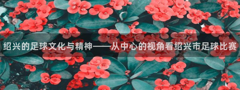 绍兴的足球文化与精神——从中心的视角