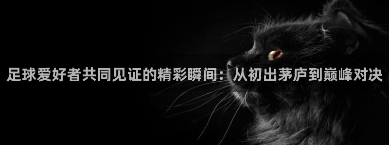 足球爱好者共同见证的精彩瞬间：从初出