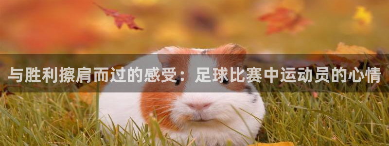 与胜利擦肩而过的感受：足球比赛中运动