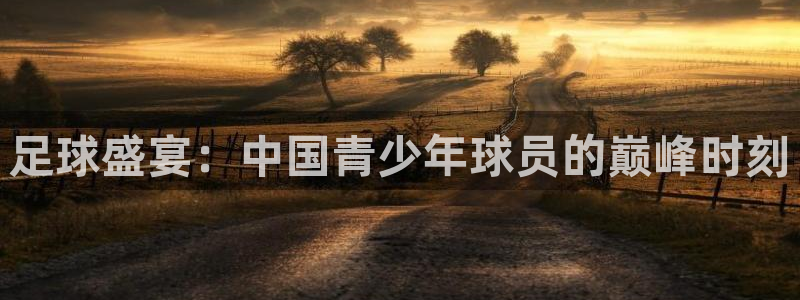 足球盛宴：中国青少年球员的巅峰时刻