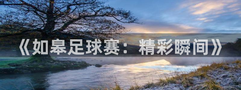 《如皋足球赛：精彩瞬间》